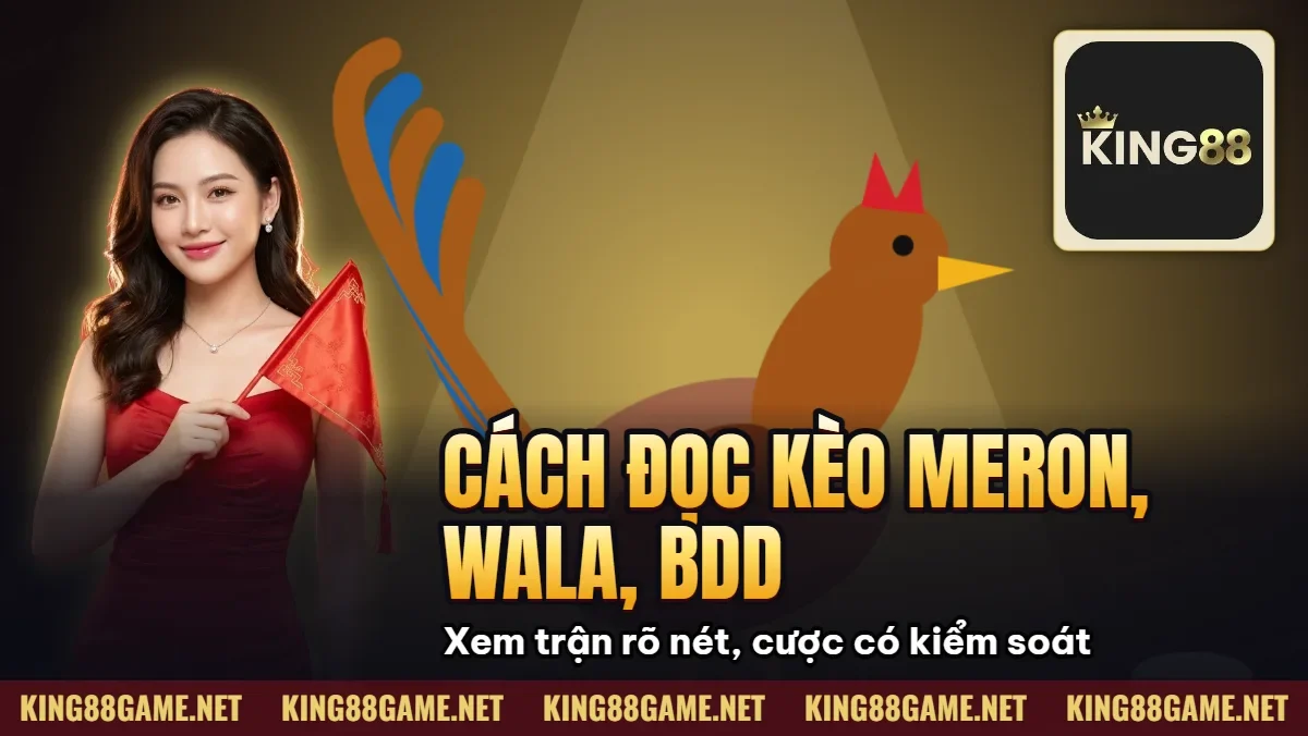 Cách Đọc Kèo Meron, Wala, BDD Trong cá Cược Đá Gà 2026